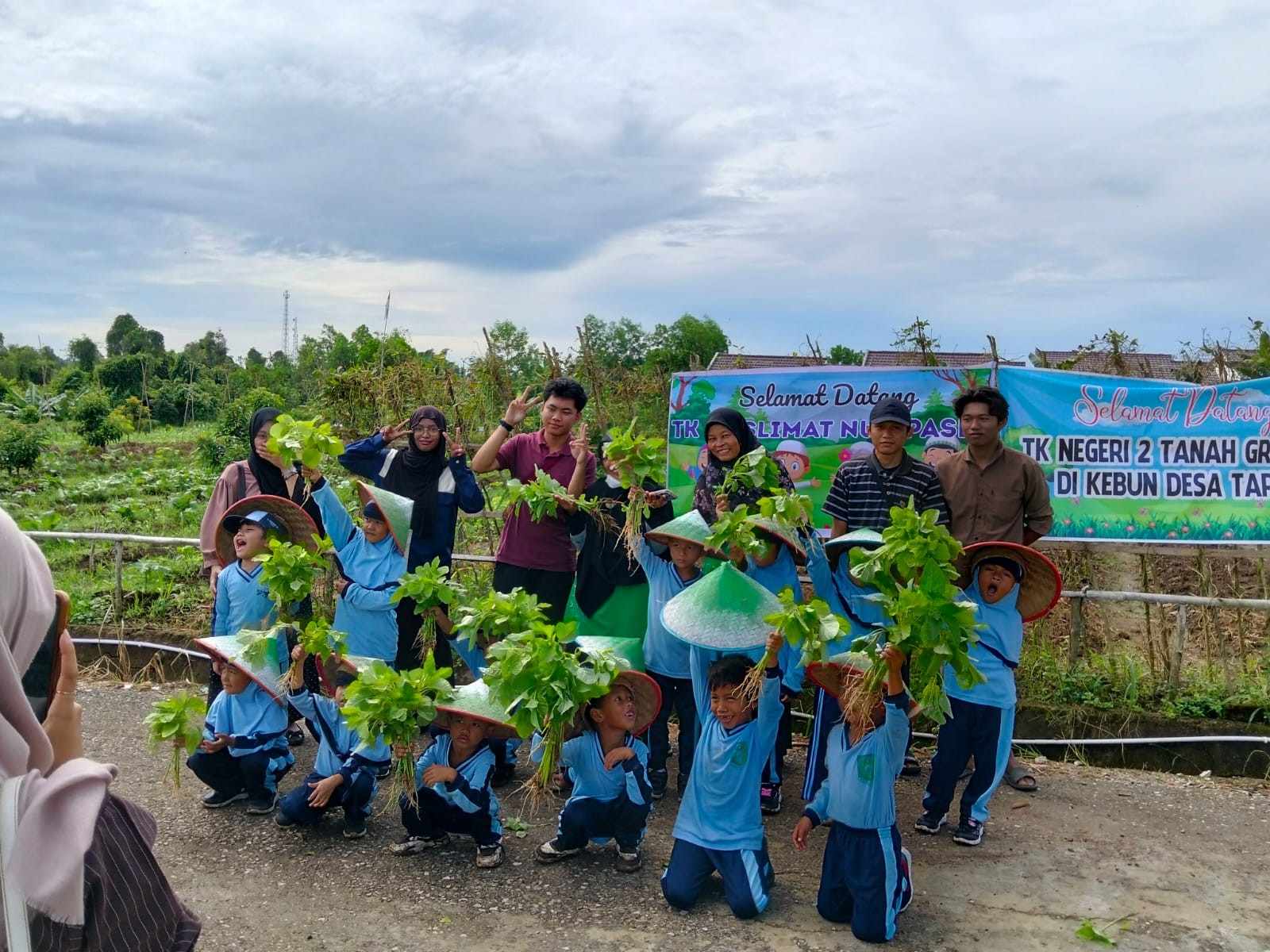 Ayo Berkebun! Kegiatan Menanam dan Panen TK Muslimat NU 1 Paser Bersama Petani Hijau Lestari dan Agroteknologi