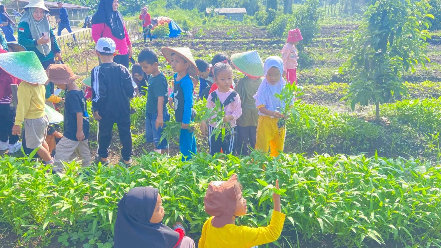 Kebun Desa Tapis Jadi Lokasi Edukasi Tani bagi Siswa TK Negeri 2 Tanah Grogot Bersama Mahasiswa Agroteknologi UMKT