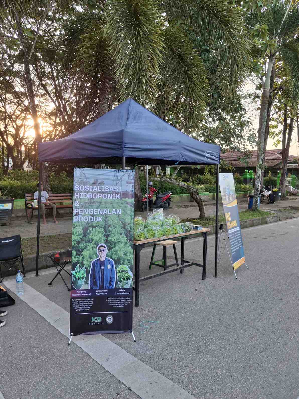 Mahasiswa Agroteknologi FPBD UMKT Gelar Sosialisasi Hidroponik dan Pengenalan Produk di CFD Tanah Grogot